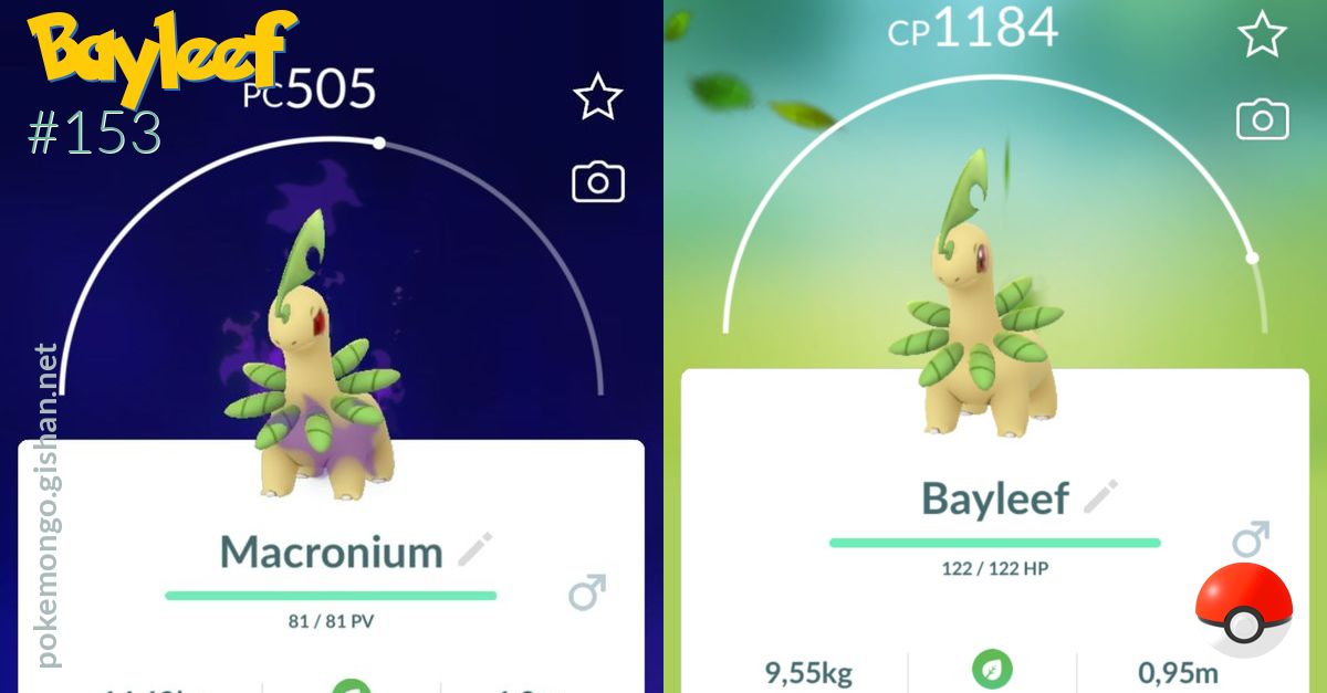 bayleef pokemon evolution