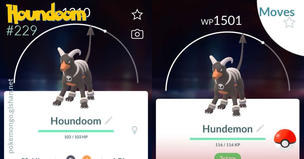 houndoom sitting cutie