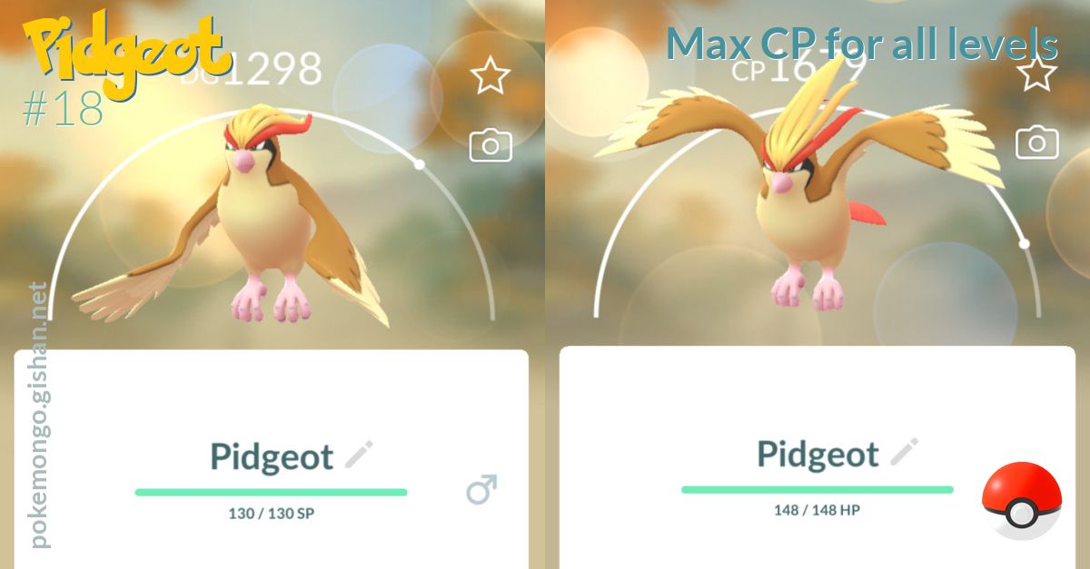 Pidgeot Max Cp For All Levels Pokemon Go