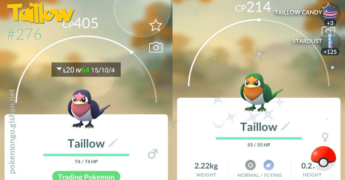 pokemon taillow evolution